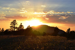 photo thumbnail #1