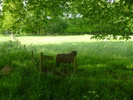 photo thumbnail #5