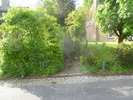 photo thumbnail #15