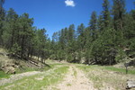 photo thumbnail #1