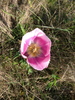 photo thumbnail #12