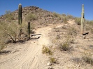 photo thumbnail #2