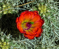 photo thumbnail #7