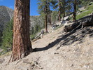 photo thumbnail #3