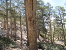 photo thumbnail #6