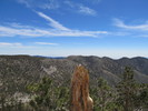 photo thumbnail #12