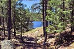 photo thumbnail #6