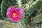 photo thumbnail #9