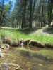 photo thumbnail #4