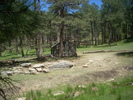 photo thumbnail #10