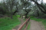 photo thumbnail #4