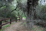 photo thumbnail #6