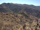 photo thumbnail #3