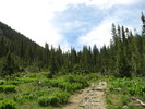 photo thumbnail #5
