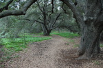 photo thumbnail #1