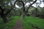 photo thumbnail #3