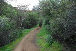 photo thumbnail #15