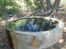 photo thumbnail #8