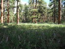 photo thumbnail #15