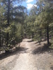 photo thumbnail #4