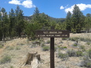 photo thumbnail #8