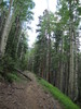 photo thumbnail #11