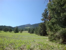 photo thumbnail #14