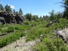 photo thumbnail #9