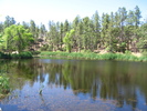 photo thumbnail #12