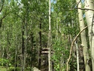 photo thumbnail #6