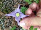 photo thumbnail #7