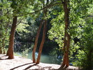photo thumbnail #14