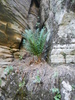 photo thumbnail #15