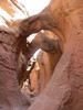photo thumbnail #2