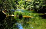 photo thumbnail #9