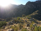 photo thumbnail #11