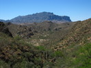 photo thumbnail #2