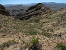 photo thumbnail #8