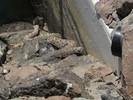 photo thumbnail #14