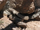 photo thumbnail #15