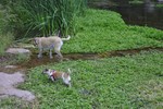 photo thumbnail #12