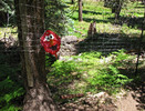 photo thumbnail #8