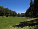 photo thumbnail #14