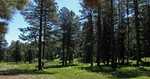 photo thumbnail #6