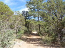 photo thumbnail #4