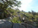 photo thumbnail #6