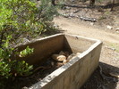 photo thumbnail #9