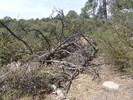 photo thumbnail #15