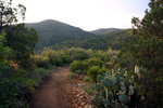 photo thumbnail #2