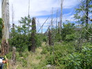 photo thumbnail #7